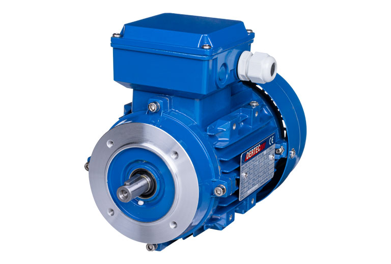 Standard electric motors